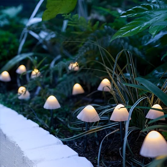 Guirlande lumineuse solaire Blanc chaud | Solarmush™ - PassionJardinier