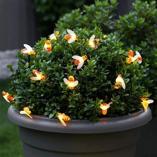 Guirlande lumineuse solaire extérieur - Dorée | Éclats de Ruche™ - PassionJardinier