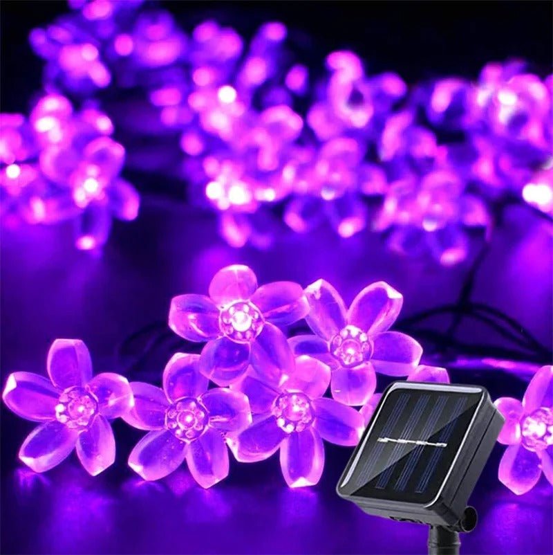 Guirlande lumineuse solaire extérieur | Petalight™ mauve et panneau solaire