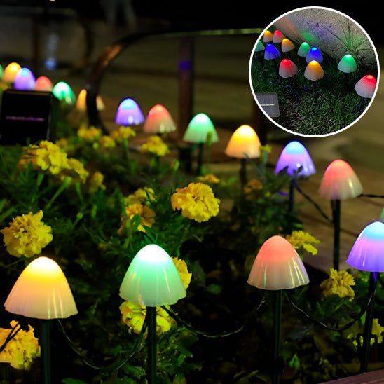 Guirlande lumineuse solaire Multicolore | Solarmush™ - PassionJardinier