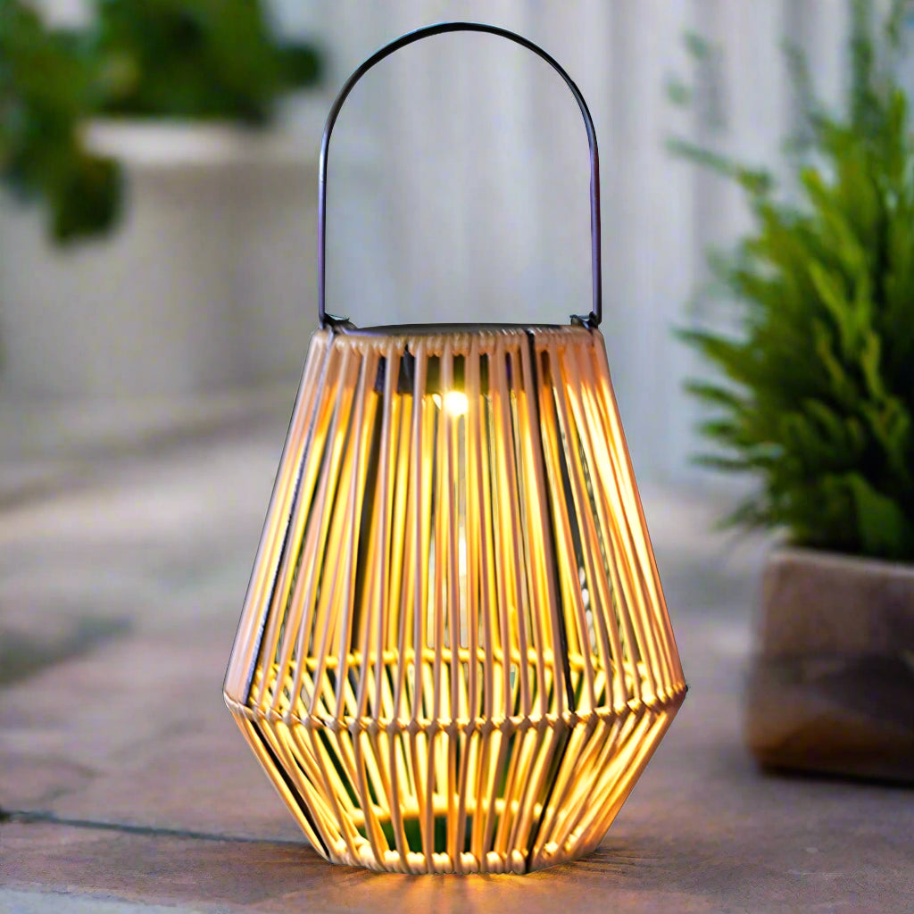 lanterne exterieur solaire avec LED avec plante